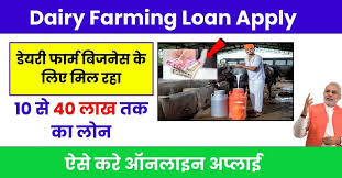 Dairy Farming Loan Online Apply 2024: डेरी फार्मिंग के लिए सरकार दे रही 10 लाख का लोन, मिलेगी सब्सिडी